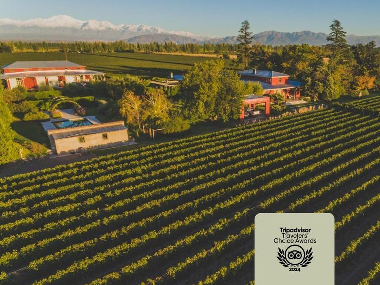 Enlace Wine House